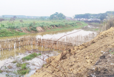 Pemkab Ogan Ilir Resmi Layangkan Surat Pemanggilan Penimbun Aliran Sungai