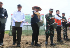 Cek Lokasi Cetak Sawah, Dorong Petani Percepat Tanam