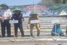 Gertam Cabai dan Bawang Merah Serentak, Sekda OKU Timur Harap Bisa Tekan Inflasi dan Kemandirian Pangan