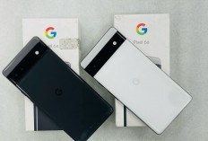 Google Pixel 6a: Hp dengan Kamera Memukau, Harga Lebih Terjangkau Dari Seri lainnya