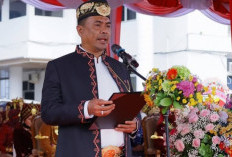 Semarak Hari Jadi ke-22 OKU Selatan, Pawai Budaya Nusantara Warnai Peringatan