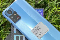 Infinix Zero X Neo: Ponsel Canggih dengan Performa Memukau dan Harga Cukup Terjangkau