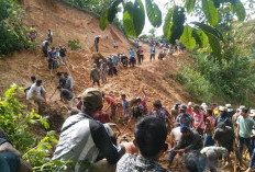 Akses Jalan ke Desa Tanjung Harapan OKU Selatan Tertutup Longsor