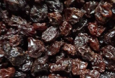 Menjadi Solusi Alami untuk Menurunkan Risiko Penyakit Kronis, Ini Ulasannya Kismis