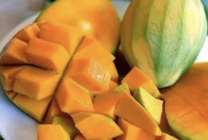 Manfaat Buah Mangga Bagi Kesehatan Kulit