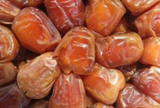 Kurma: Buah Keajaiban dengan Segudang Manfaat Kesehatan