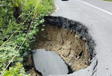 Diguyur Hujan Deras Jalan Provinsi OKU Selatan Longsor