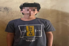 Diduga Rudapaksa Pelajar, Pemuda Diamankan Polisi