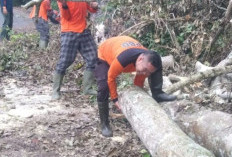 BPBD OKU Selatan Ingatkan Masyarakat Waspada Bencana Alam