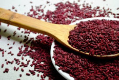 Meningkatkan Trombosit dengan Mengonsumsi Angkak Merah: Solusi Alami untuk Kesehatan Darah