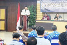 Tingkatkan Pertanaman dan Produktivitas, Dinas Pertanian Gelar Upsus