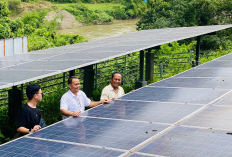 Energi Surya Bukit Asam (PTBA) Pacu Hasil Panen Petani di Sawahlunto