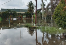 Hujan Deras Picu Banjir, Puluhan Rumah dan Fasilitas Umum Terdampak