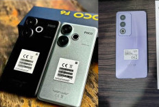 Perbedaan POCO F6 dan Oppo A3 Pro 5G Juli 2024, Bagus Mana?