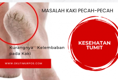 Masalah Kaki Pecah-pecah akan Hilang Hanya dengan Menggunakan Batu Apung, Berikut Caranya