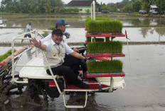 Antisipasi El Nino, Pemerintah Pusat Gelar Gerakan Percepatan Tanam di OKU Timur 