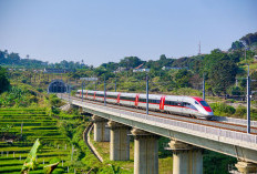 Penumpang Kereta Cepat Januari - Juni 2025 Naik 10 Persen dari Tahun 2024