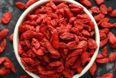 Selain Kaya Nutrisi, Goji Berry Mampu Meningkatkan Energi