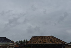 Prakiraan Cuaca OKU Timur, Sejumlah Wilayah Berpotensi Hujan Ringan