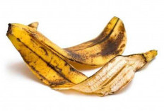 Siapa Sangka Kulit Pisang Bisa Mencegah Penuaan Dini Secara Alami 
