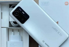 Xiaomi 11T VS Xiaomi 11T Pro, Memiliki Layar sama, chipset yang Berbeda, Harga Selisih Rp200 Ribu
