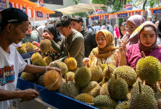 Kelompok Petani Durian di Pekalongan Makin Berkembang Berkat Pemberdayaan BRI