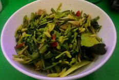 Resep Bunga Pepaya, Makanan Sederhana yang Nikmat
