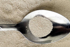 Ragi, Kunci Mengembangnya Kue yang Empuk dan Lezat