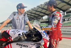 MotoGP 2024, Alex Marquez dan Marc Marquez Tunggangi Ducati di Gresini Racing