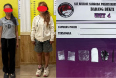 Bongkar Jaringan Sabu, Dua Wanita Ditangkap di Lokasi Berbeda