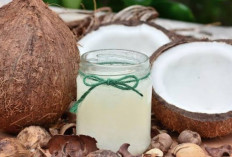 Ingin Terlihat Awet Muda? , Ternyata Dengan Minum Air kelapa Bisa memperlambat penuaan 