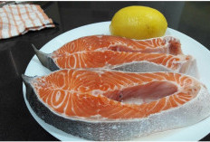 5 Jenis Ikan yang Bisa Menurunkan Kolesterol Tinggi