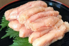 Tidak Kalah dengan Telor Ayam, Manfaat Telur Ikan Juga Bisa Menjaga Kesehatan Tulang