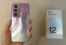 HP Oppo Reno 12 Pro, Meluncur dengan Dimensity 9200