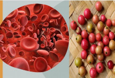 Cara Melawan Anemia dengan Bahan Alami, Temukan Manfaat Mengonsumsi Buah Kersen untuk Kesehatan