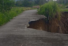 Memprihatinkan! Jalan Penghubung Desa di OKU Selatan Terancam Putus dan Berbahaya