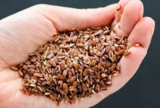 Biji Rami, superfood yang bermanfaat untuk kesehatan jantung