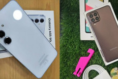 Spesifikasi Samsung Galaxy A55 5G dan Samsung Galaxy M53 5G