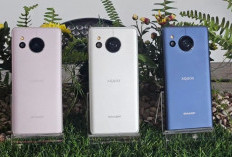 Review Sharp Aquos Sense8: Smartphone Punya Standar Fotografi Keren, Harga Rp4 Jutaan