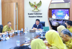 Dorong Percepatan Sumsel sebagai Destinasi Wisata Kesehatan