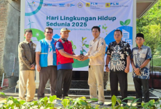 Hari Lingkungan Hidup, PLN EPI Tanam 500 Pohon Buah di Gunung Aseupan