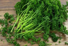 Benarkah Rebusan Daun Parsley Bisa Mencegah Sembelit? Begini Caranya