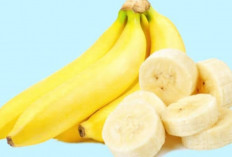 Selain Kaya Nutrisi, Ternyata Buah Pisang Bisa Mengatasi Sakit Tipes, Simak Berikut Ini 