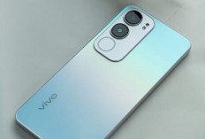 Vivo Y19s: Meluncur dengan Desain Tahan Banting, Harga Terjangkau