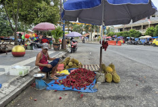 Pedagang Musiman Andalkan Pasokan Buah dari Luar Daerah 