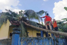 Puting Beliung Hantam OKU Selatan, Empat Sekolah dan Puluhan Lapak Rusak