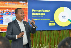 Pemerintah Bakal Revisi RKAB Tahun 2026