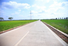 Deru Resmikan Peningkatan Jalan Tanjung Api-Api–Sri Menanti