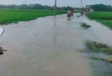 Dua Desa di OKU Timur Dilanda Banjir