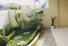 7 Cara Membuat Taman Minimalis Depan Rumah, Terlihat Cantik dan Asri